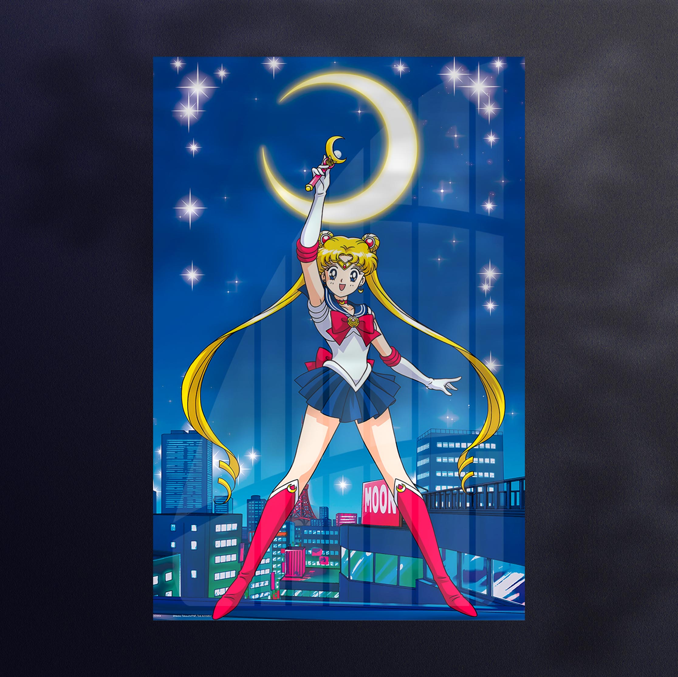 Sailor Moon