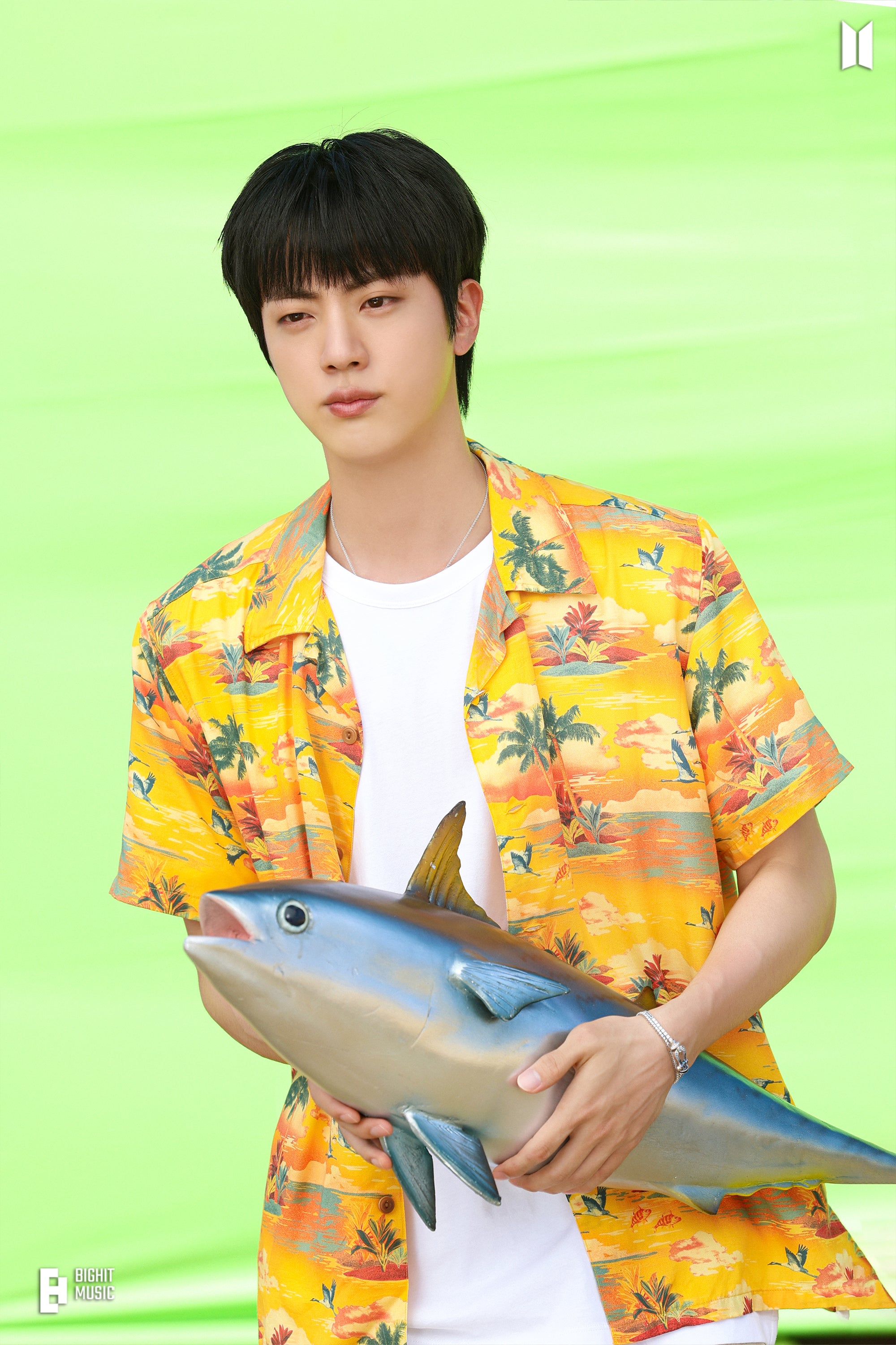 AluCards BTS - Kim Seok-Jin –  Photocards de Aluminio / Set de 10